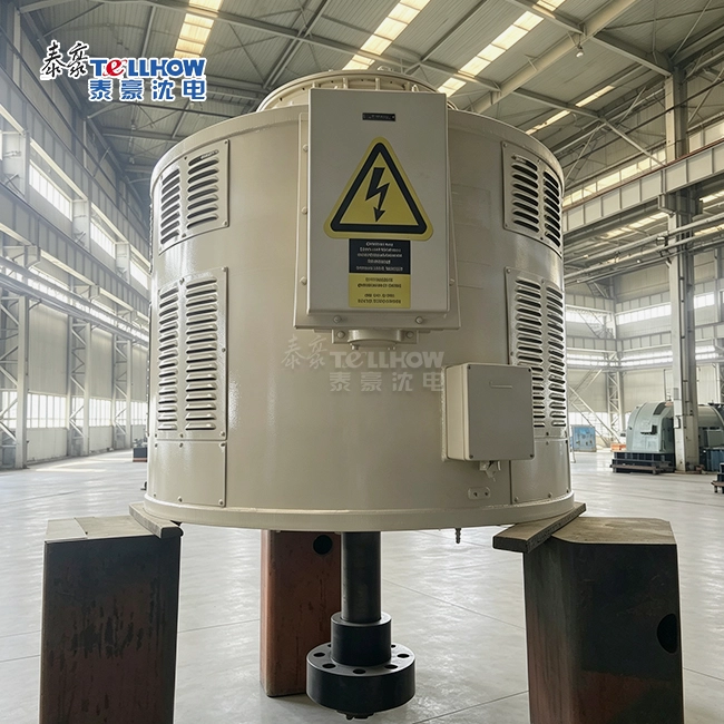 Vertical Synchronous Pump Motor